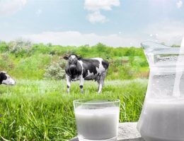 Çiğ süt tavsiye fiyatı litre başına 7,50 lira olarak belirlendi