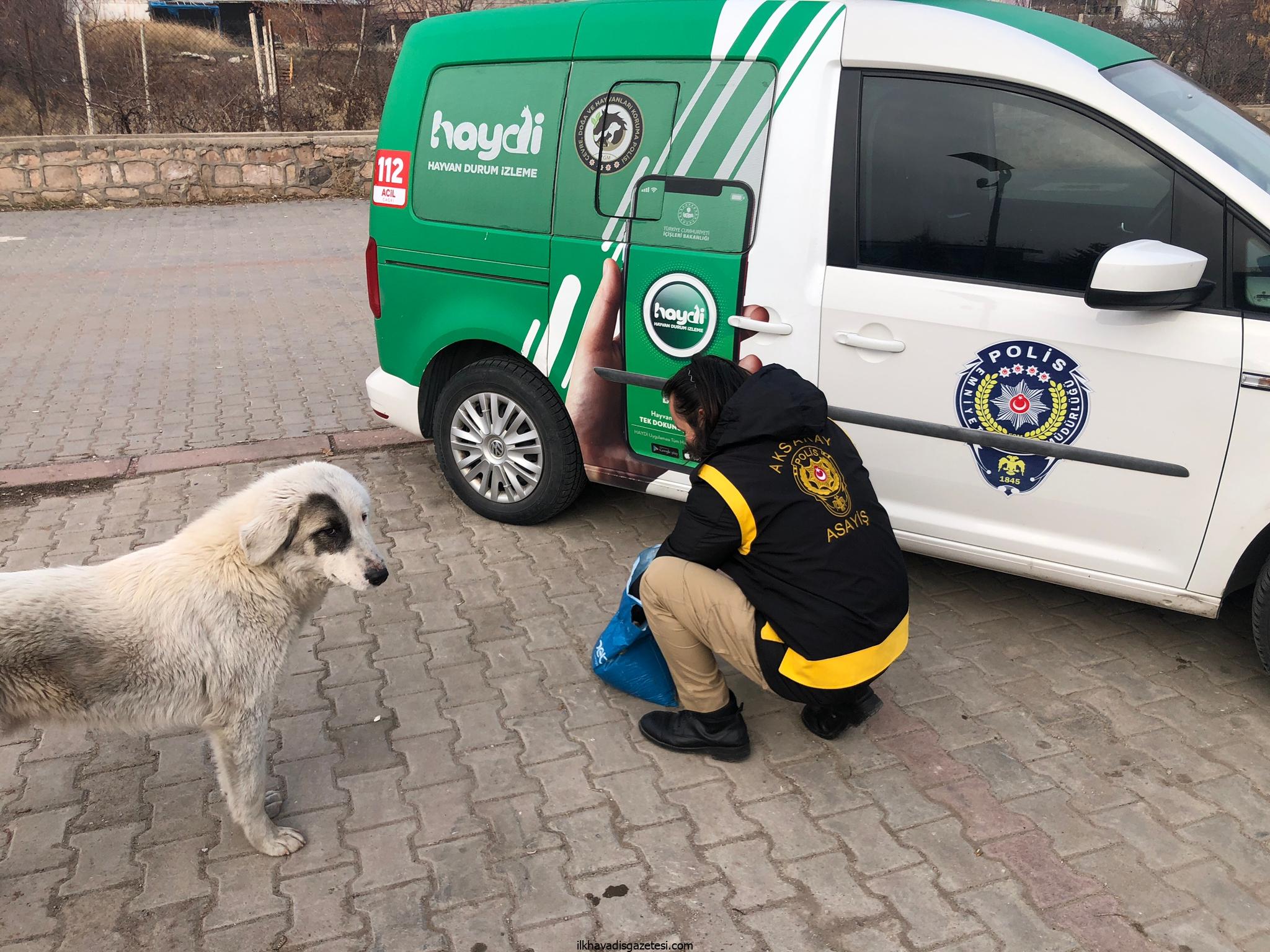 Aksaray Polisi sokak hayvanlarına yem bıraktı