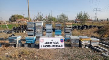 Aksaray’dan 25 adet arı kovanını çalıp Nevşehir’e götürdü
