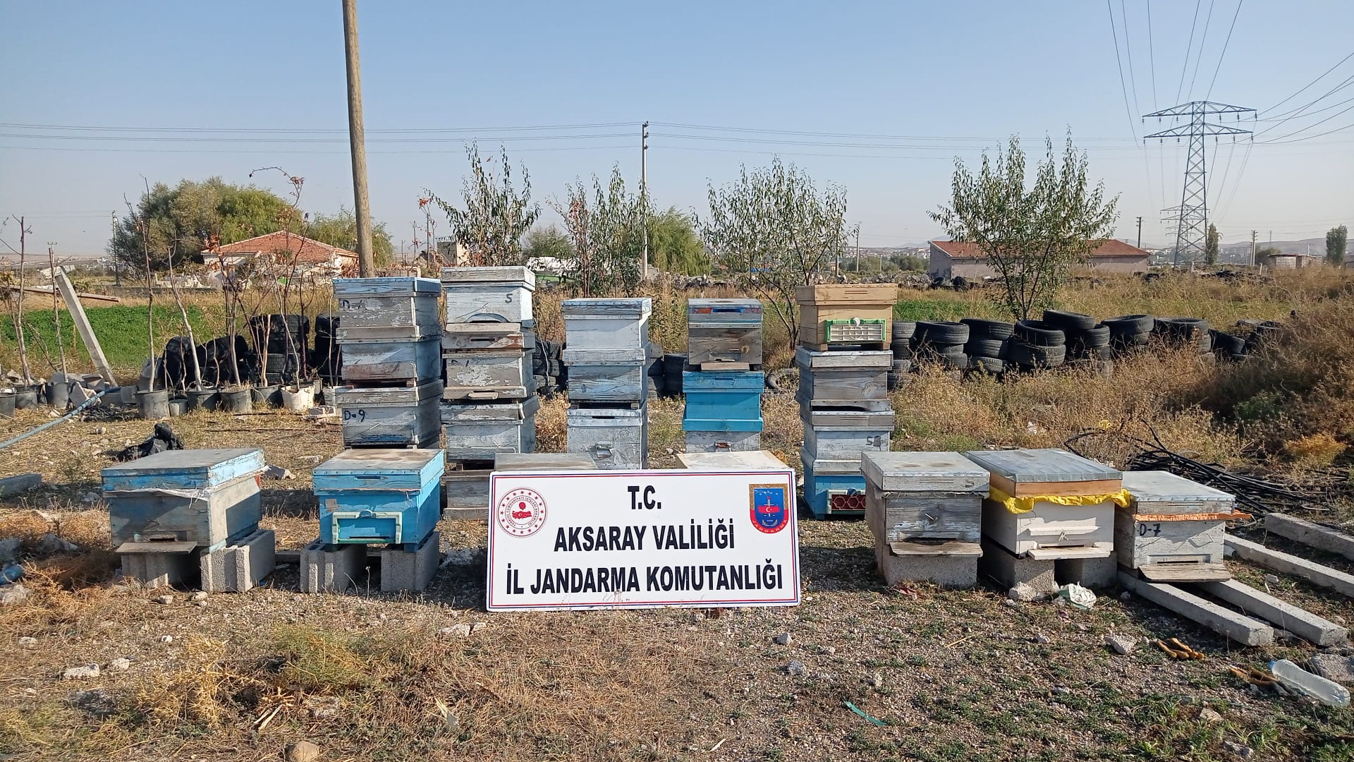 Aksaray’dan 25 adet arı kovanını çalıp Nevşehir’e götürdü